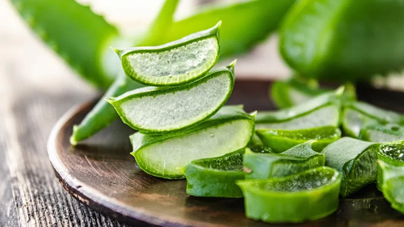 Vị thuốc quen thuộc giúp giảm nóng trong, táo bón mùa hè